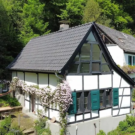 Holiday home Historische Breidenmuehle Haan