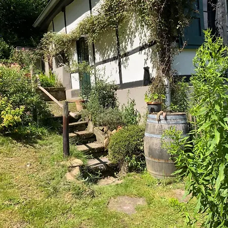 Historische Breidenmuehle *