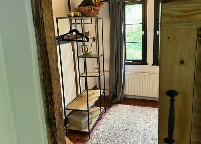 Historische Breidenmuehle * Haan