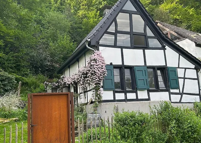 Historische Breidenmuehle Hébergement de vacances Haan