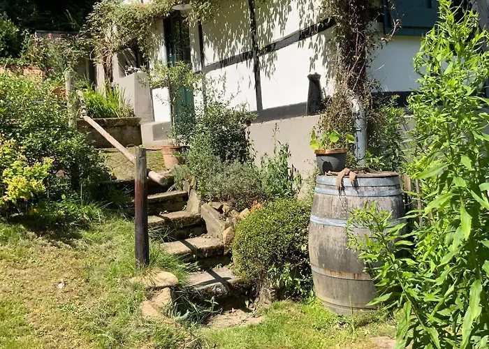 Historische Breidenmuehle *