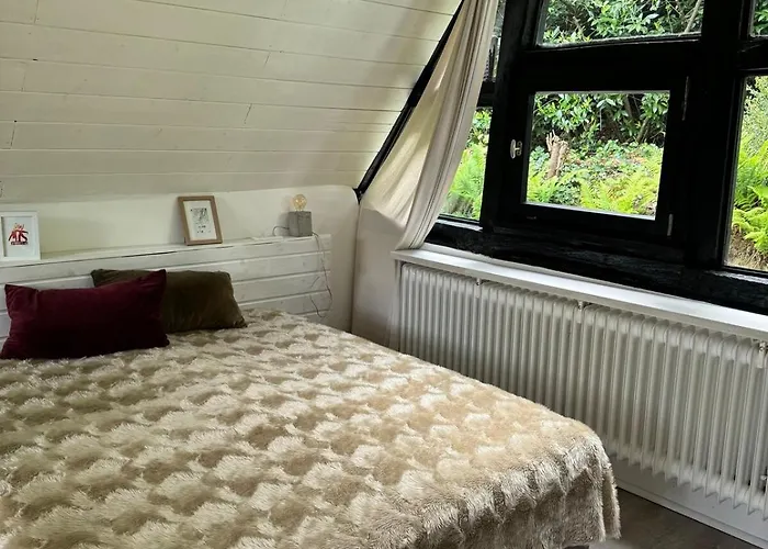 Historische Breidenmuehle * Haan